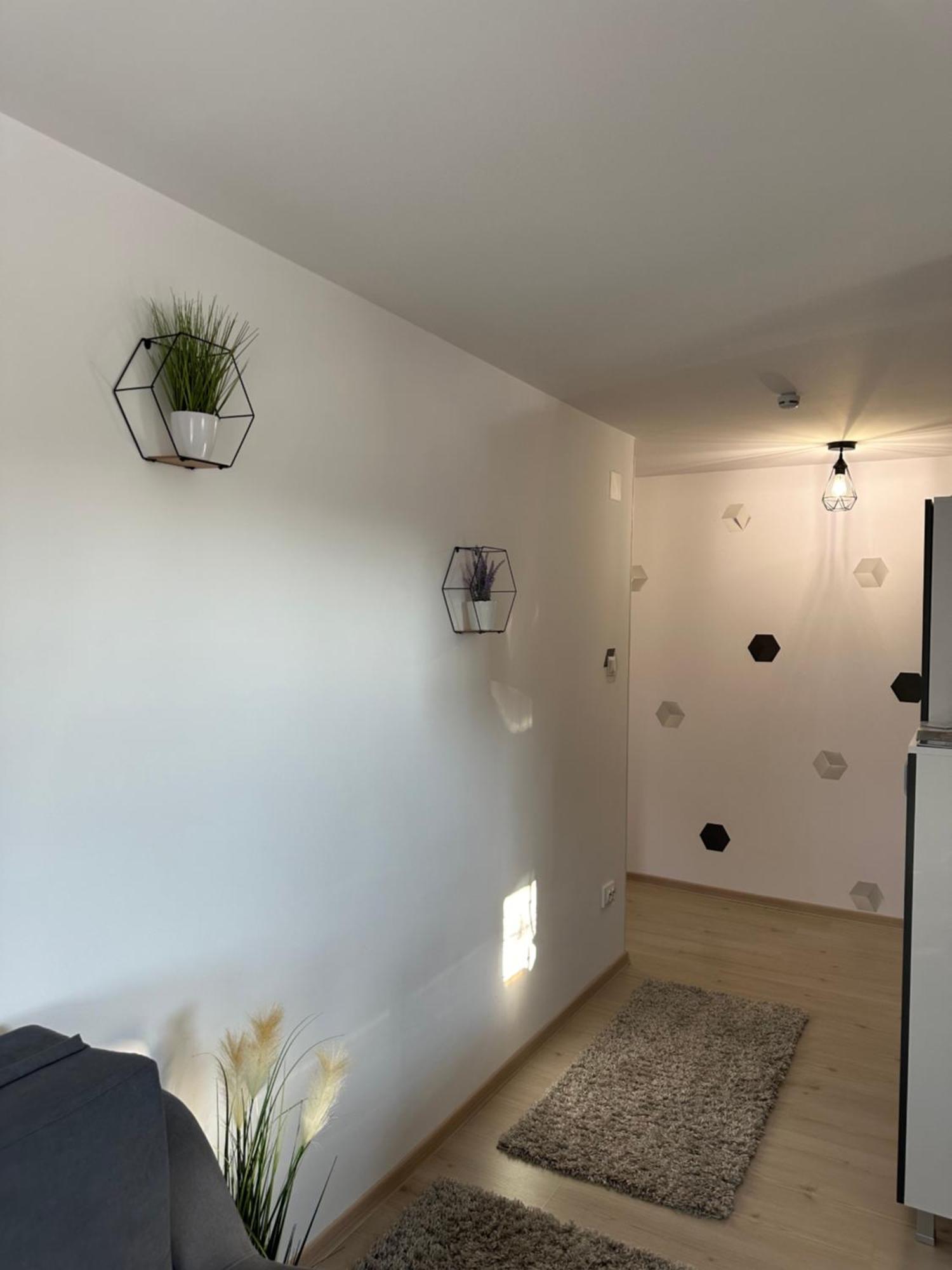 Jokai Apartments Nr7, Code Entry Sfântu-Gheorghe 外观 照片